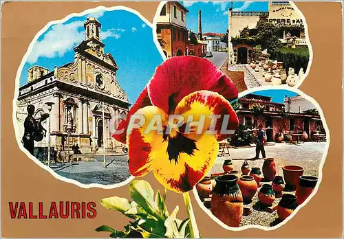 Cartes postales moderne Une Pensee de Vallauris