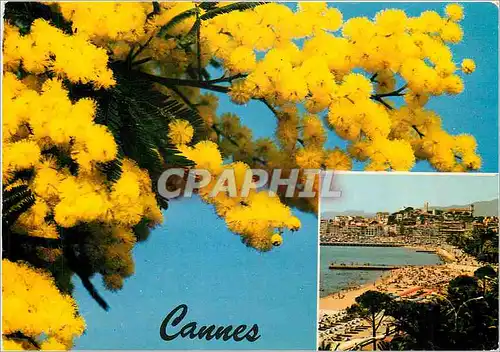 Moderne Karte Souvenir de Cannes