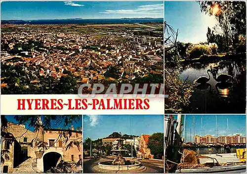 Cartes postales moderne Hyeres les Palmiers