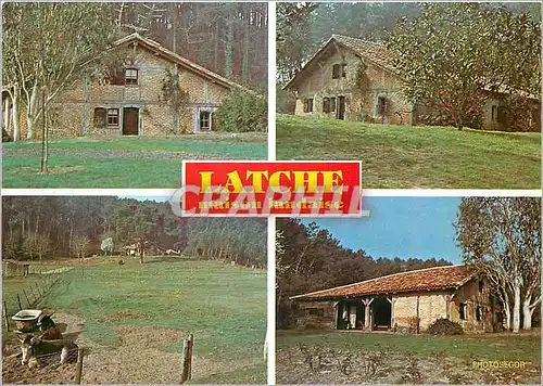 Cartes postales moderne Latche Maison Landaise