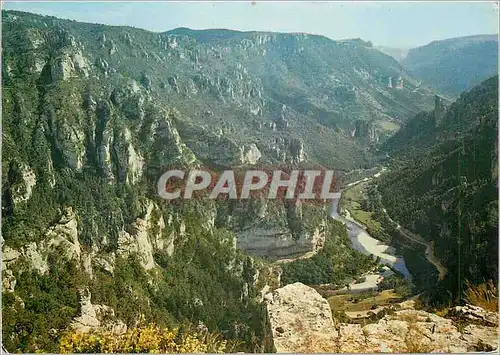 Cartes postales moderne En Parcourant les Gorges du Tarn Vue Panoramique prise du Point Sublime sur la vallee du Tarn