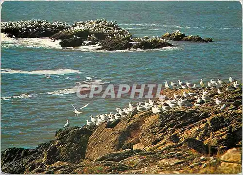 Cartes postales moderne La Bretagne Pittoresque Escale entre deux envois