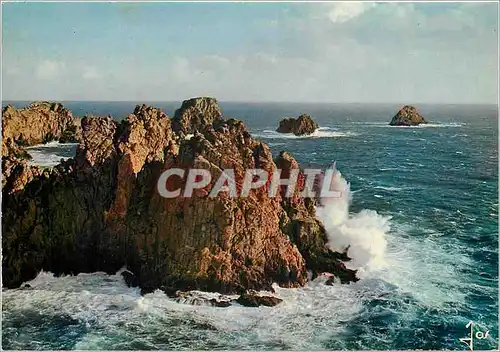 Cartes postales moderne Camaret sur Mer