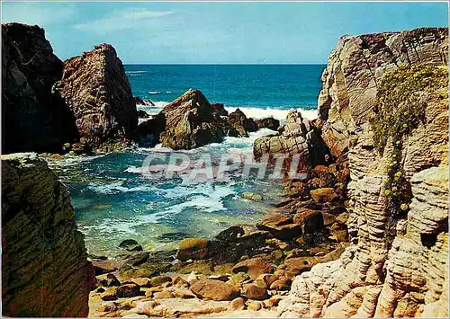 Cartes postales moderne La Cote Sauvage Presqu'ile de Quiberon Morbihan
