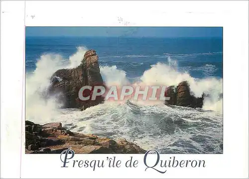 Cartes postales moderne Presqu'ile de Quiberon