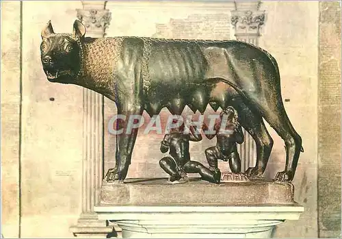 Cartes postales moderne Roma Musee du Capitole Le Louve du Capitole Bronze