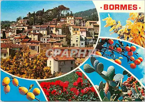 Cartes postales moderne Bormes les Mimosas Var Vue generale