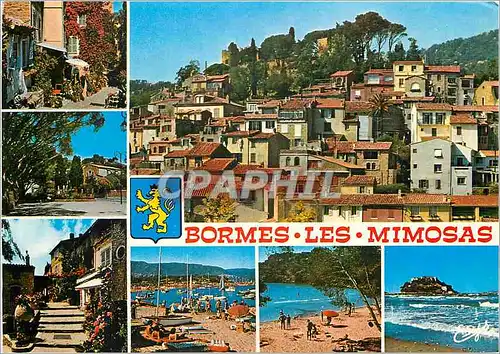 Cartes postales moderne Bormes les Mimosas Var Vue generale Lou Poulid cantoun