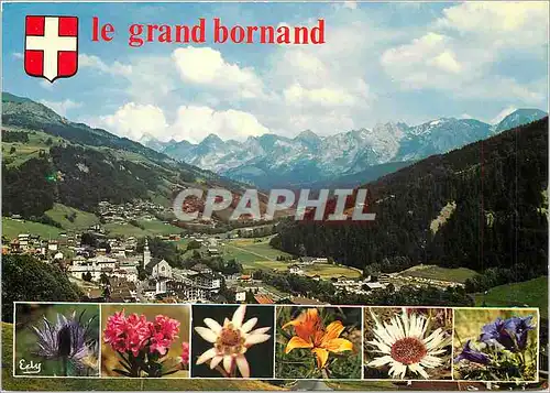 Cartes postales moderne Le Grand Bornand Hte Savoie Vue generale face a la chaine des Aravis