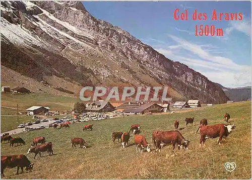 Cartes postales moderne Le Col des Aravis Haute Savoie Vue d'ensemble