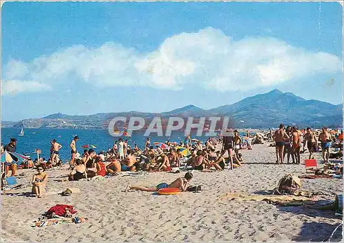 Cartes postales moderne Argeles sur Mer Pyr Or La Plage Les Alberes