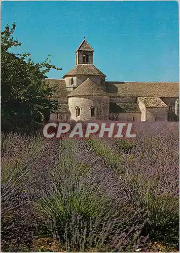 Moderne Karte Abbaye de Senanque Gordes Le chevet de l'eglise abbatiale