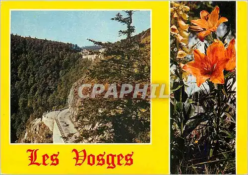 Cartes postales moderne Les Hautes Vosges Le col de la Schlucht et la route de Munster