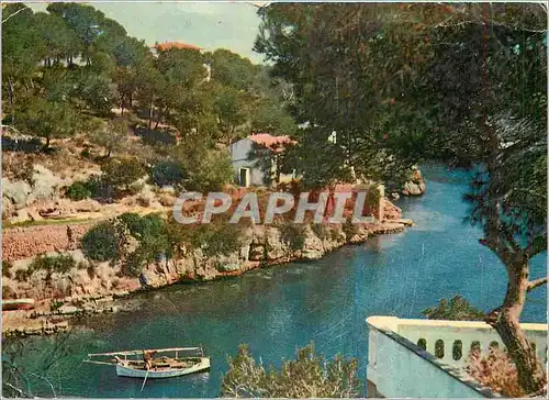 Cartes postales moderne Mallorca Catla Figuera Santany