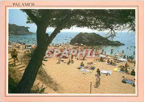 Cartes postales moderne Palamos Costa Brava La Fosca