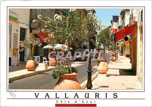 Cartes postales moderne Vallauris Cote d'Azur Centre Mondial de la Poterie