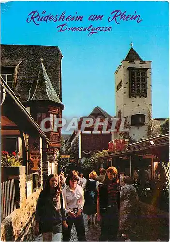 Cartes postales moderne Rudesheim am Rhein Drosselgasse