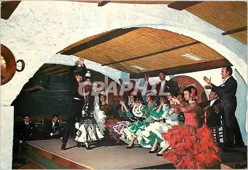 Cartes postales moderne Espana El Jaleo Gran cuadro flamenco