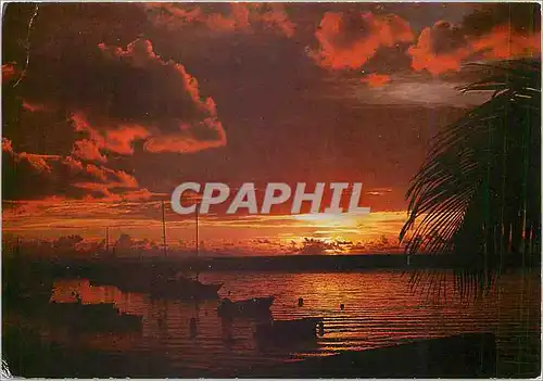 Cartes postales moderne Ile de La Reunion Coucher de soleil sur le Club Nautique de Saint Gilles