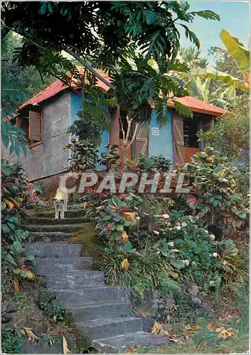 Cartes postales moderne Reunion Petite case creole pres de Saint Philippe
