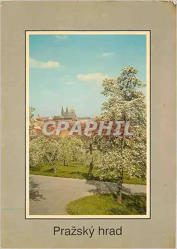 Cartes postales moderne Prazsky Hrad