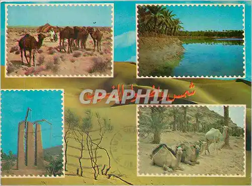 Cartes postales moderne Soleil et Lumiere du Sud Algerien