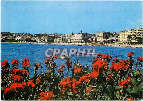 Cartes postales moderne Cannes Vue generale sur la Croisette