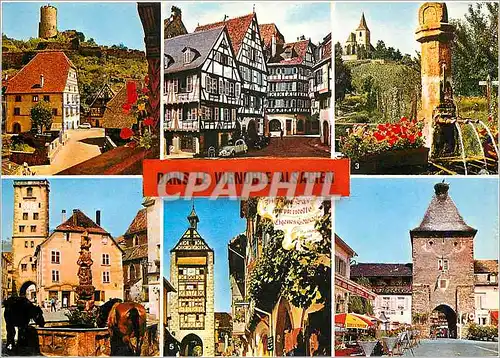 Cartes postales moderne Dans le Vignoble Alsacien Kaysersberg Colmar