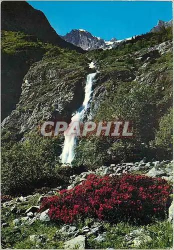 Cartes postales moderne Rhododendrons et cascade Aiguilles des Marmes
