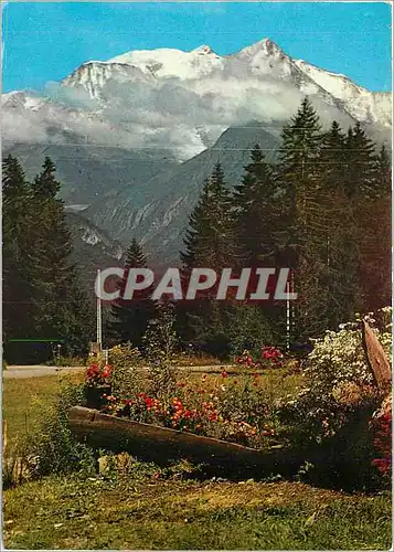 Cartes postales moderne Le Mont Blanc vu du Mont d'Arbois Bettex