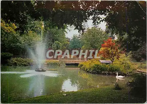 Cartes postales moderne Vichy Allier Un coin du parc