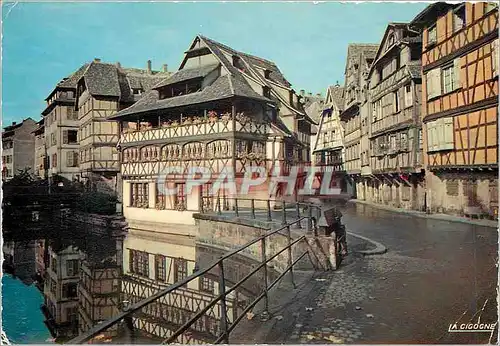 Cartes postales moderne Strasbourg Bas Rhin Le Bain aux Plantes