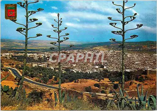 Cartes postales moderne Fes Vue generale