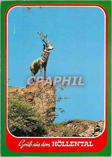 Cartes postales moderne Gruss aus dem Hollental