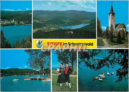 Cartes postales moderne Titisee im Schwarzwald