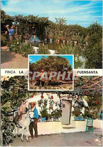 Cartes postales moderne Coin Costa del Sol Finca La Fuensanta