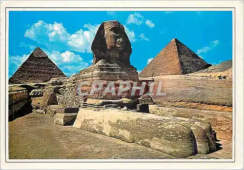 Cartes postales moderne Giza Pyramides The Fourth Family