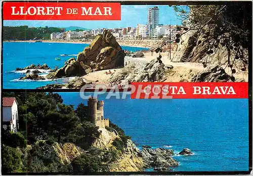 Cartes postales moderne Lloret de Mar Costa Brava Vista Parcial