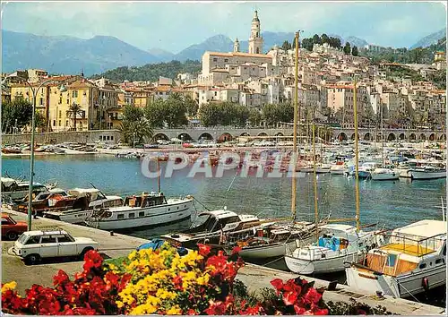 Cartes postales moderne Menton Le Port et la Vieille Ville