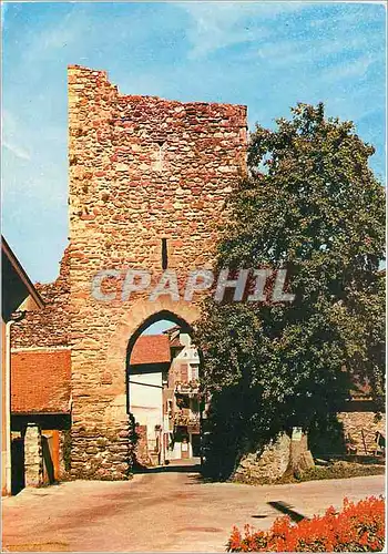 Cartes postales moderne Yvoire Porte gothique