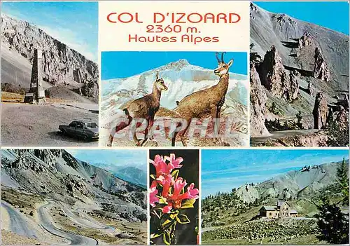 Moderne Karte Route des Grandes Alpes Col d'Izoard La Stele Chamois La Casse Deserte