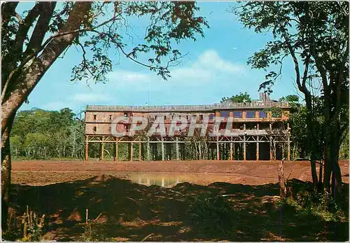 Cartes postales moderne Treetops Nyeri Kenya