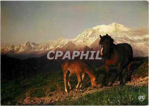 Cartes postales moderne Crepuscule en montagne