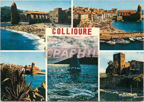 Cartes postales moderne La Cote Vermeille Collioure