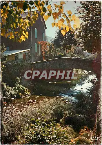 Cartes postales moderne En Lozere Entre l'Aigoual et les Gorges du Tarn