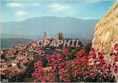 Cartes postales moderne En Roussillon Vernet les Bains Paradis des Pyrenees Vue generale