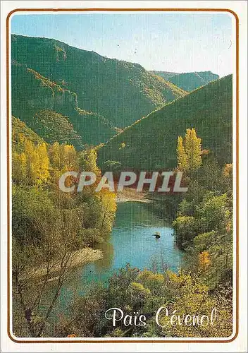 Cartes postales moderne Pais Cevenol Lumiere et Couleurs des Cevennes