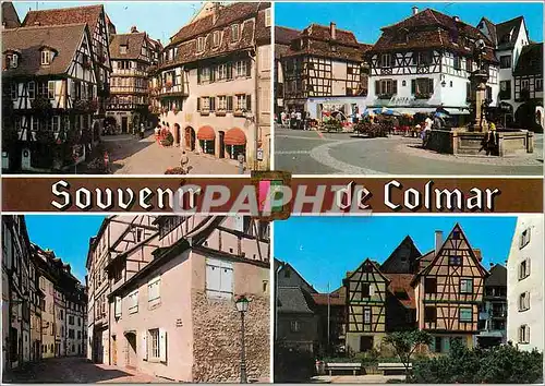 Cartes postales moderne Souvenir de Colmar Haut Rhin Alsace France