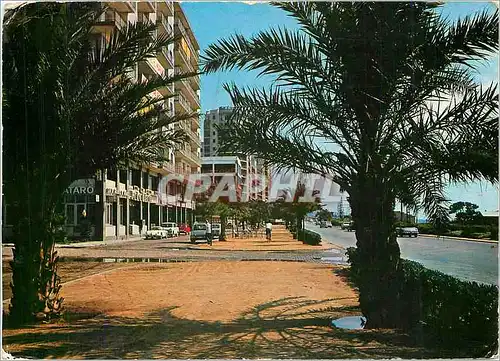 Cartes postales moderne Mataro Avenida de El Maresme