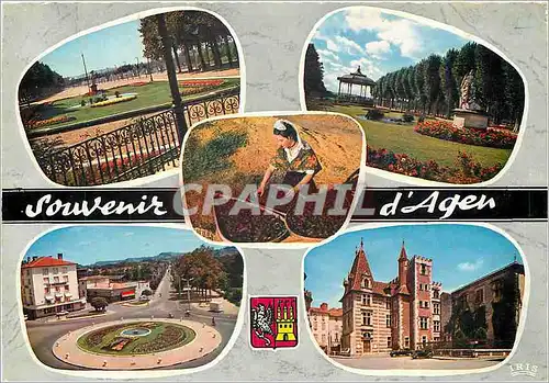 Cartes postales moderne Agen Lot et Garonne Promenade du Gravier Le Musee